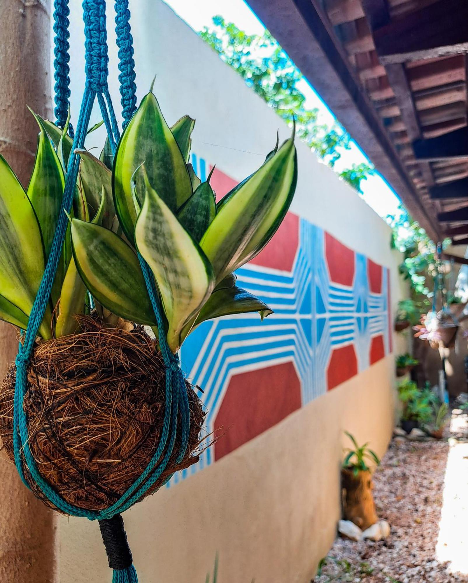 Savana Hostel São Jorge Kültér fotó